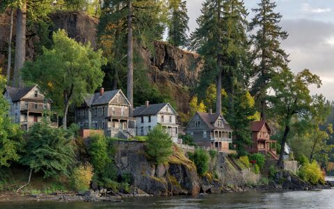 Stump grinding in Oregon City